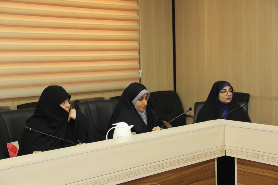 نهاد نمایندگی مقام معظم رهبری  در دانشگاه های استان  هرمزگان  با همکاری سازمان بسیج اساتید استان هرمزگان پیش اجلاس مهدویت و انقلاب اسلامی با موضوع "نقش خانواده درظهوروایجاد تمدن اسلامی با رویکرد ظرفیت های انقلاب اسلامی"  15