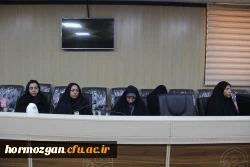 نهاد نمایندگی مقام معظم رهبری  در دانشگاه های استان  هرمزگان  با همکاری سازمان بسیج اساتید استان هرمزگان پیش اجلاس مهدویت و انقلاب اسلامی با موضوع 